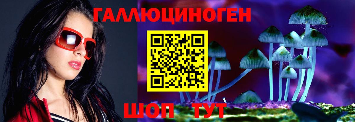 Лесосибирск  Псилоцибиновые грибы GOLDEN TEACHER  Галлюциногенные грибы GOLDEN TEACHER  Вход с VPN 